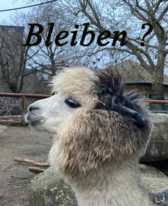 Home bleiben einzeln