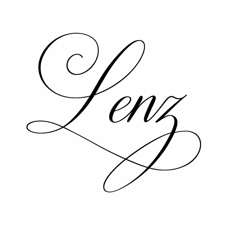 lenz icon schwarz